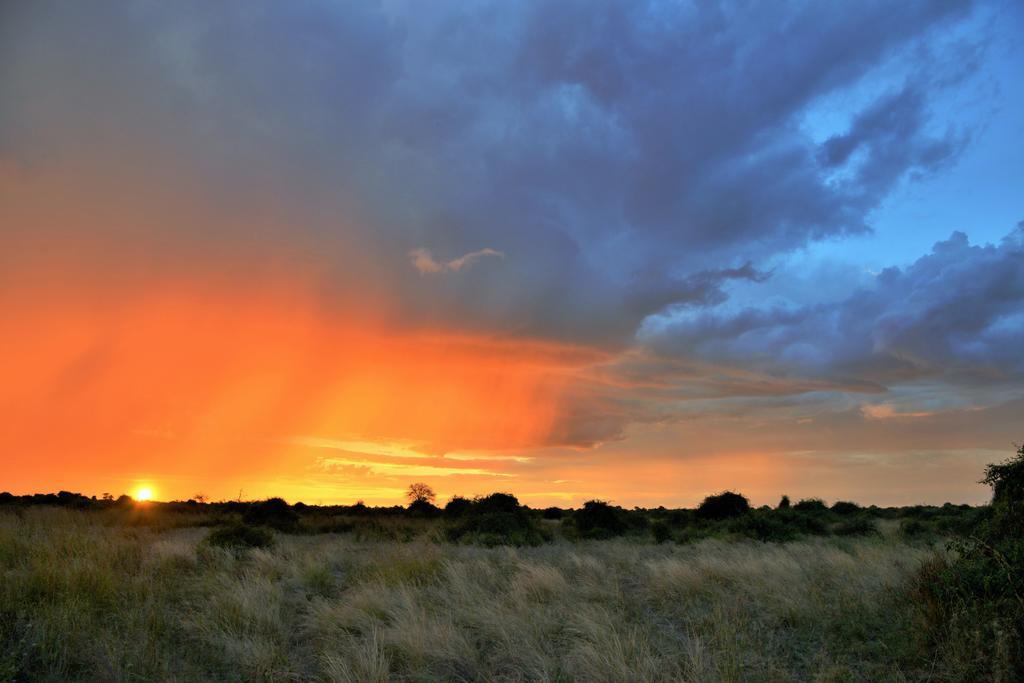 Thebe River Safaris Kasane Extérieur photo
