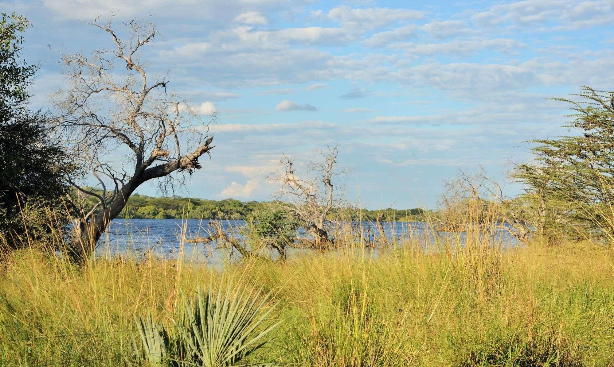 Thebe River Safaris Kasane Extérieur photo
